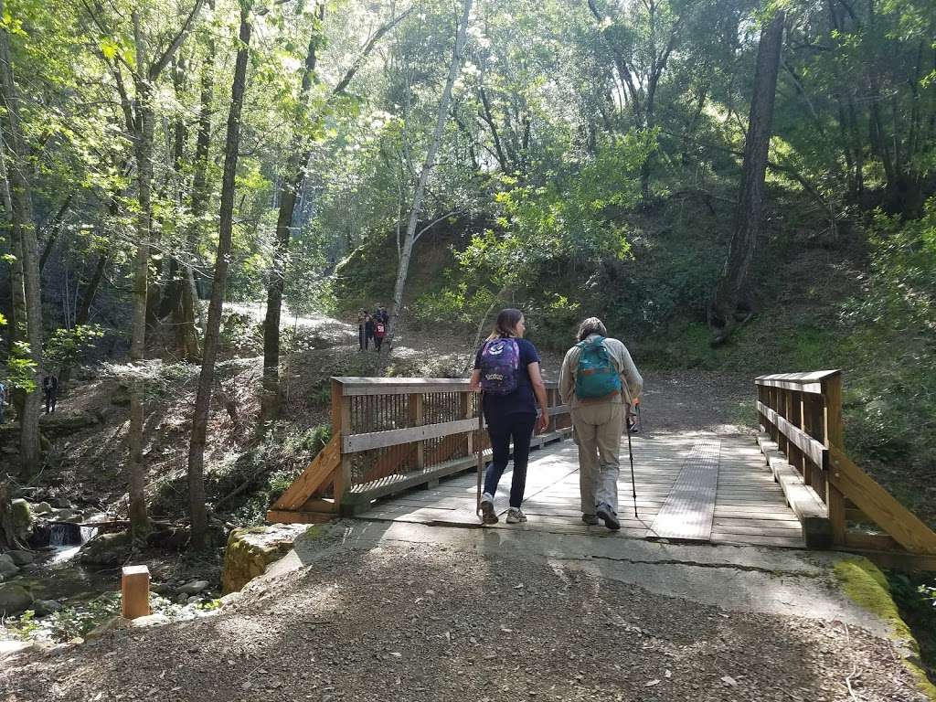 Uvas Canyon County Park | 8515 Croy Rd, Morgan Hill, CA 95037, USA | Phone: (408) 779-9232