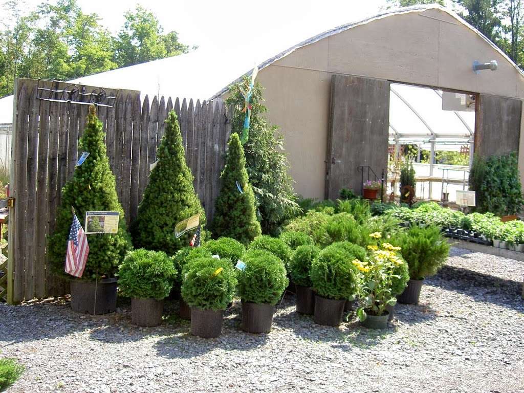 Ginder Greenhouse & Garden Center Inc | 558 Lake Minsi Dr, Bangor, PA 18013, USA | Phone: (610) 588-0222