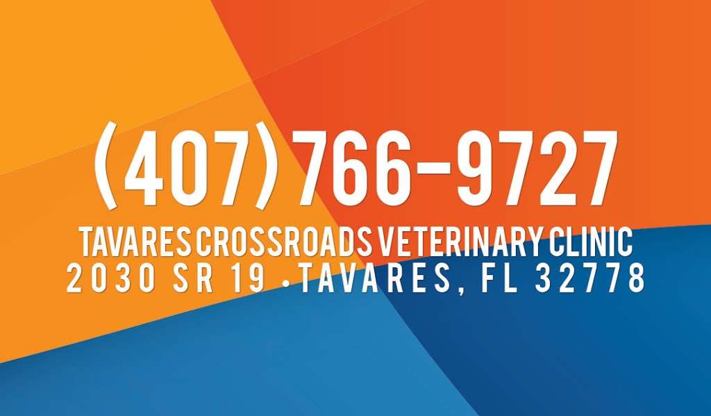 Tavares Crossroads Veterinary Clinic | 2030 State Road 19, Tavares, FL 32778, USA | Phone: (352) 343-0300