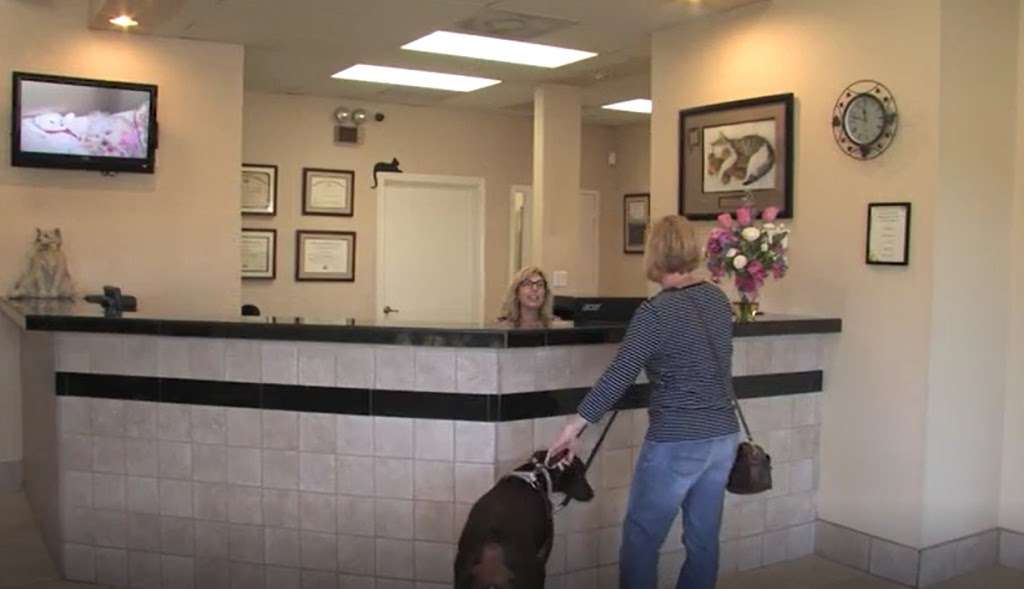 Spring Creek Animal Hospital | 101 Epps St, Tomball, TX 77375, USA | Phone: (281) 351-7184