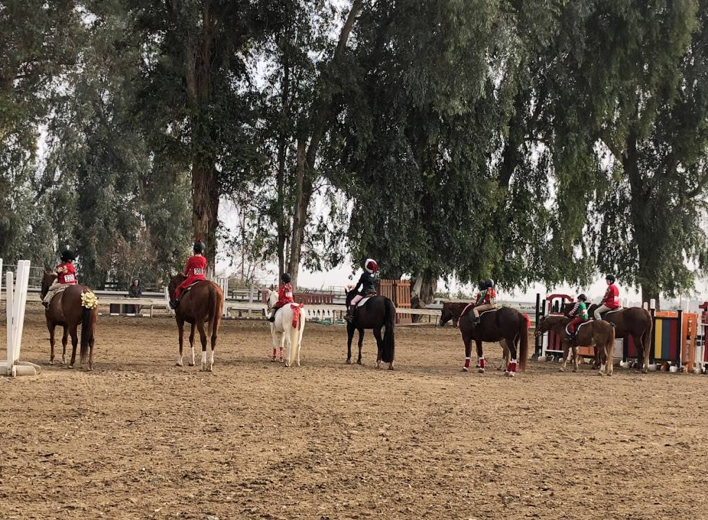 PDM Training Stables | 7500 Muller Rd, Bakersfield, CA 93307, USA | Phone: (661) 366-4034