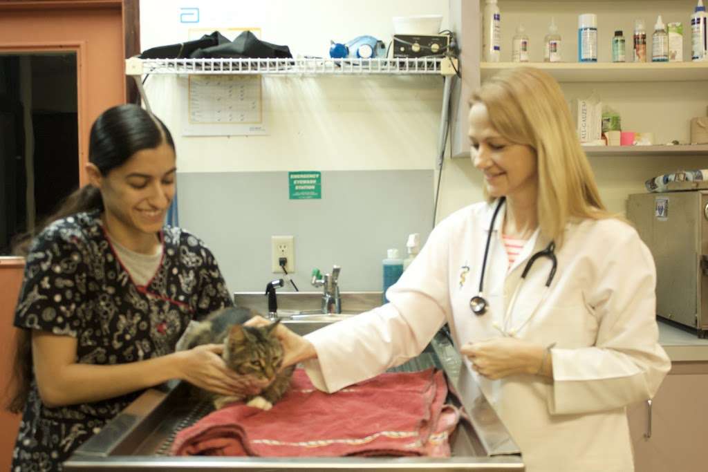 Animal Clinic 192 | 2840 E Irlo Bronson Memorial Hwy, Kissimmee, FL 34744, USA | Phone: (407) 847-4472