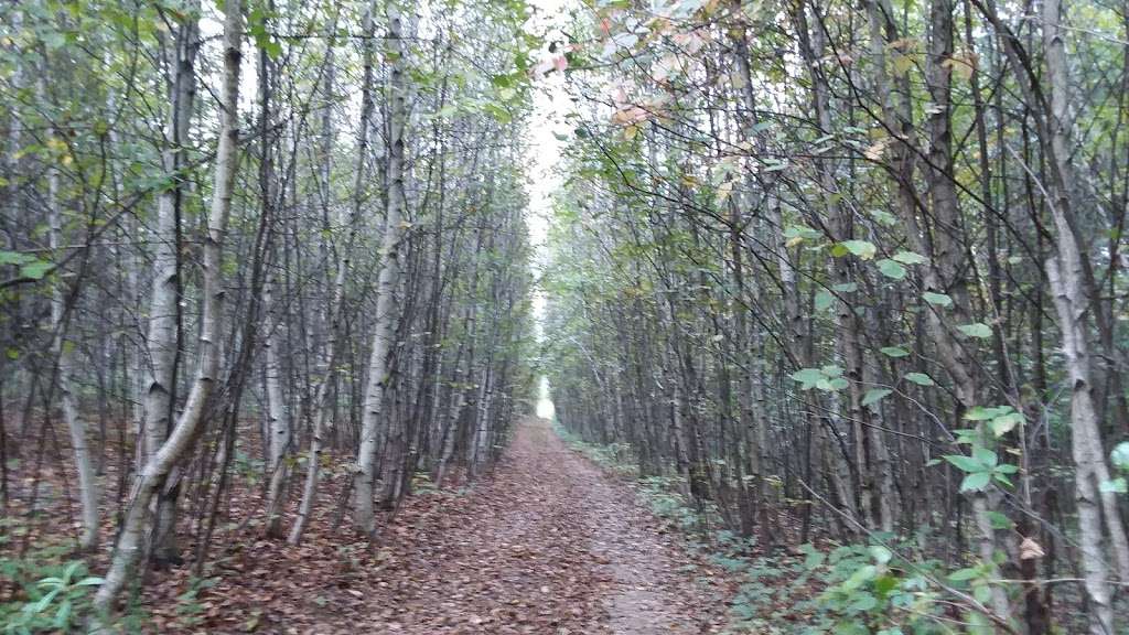 Pochuck Mountain State Forest | Pine Island, NY 10969, USA