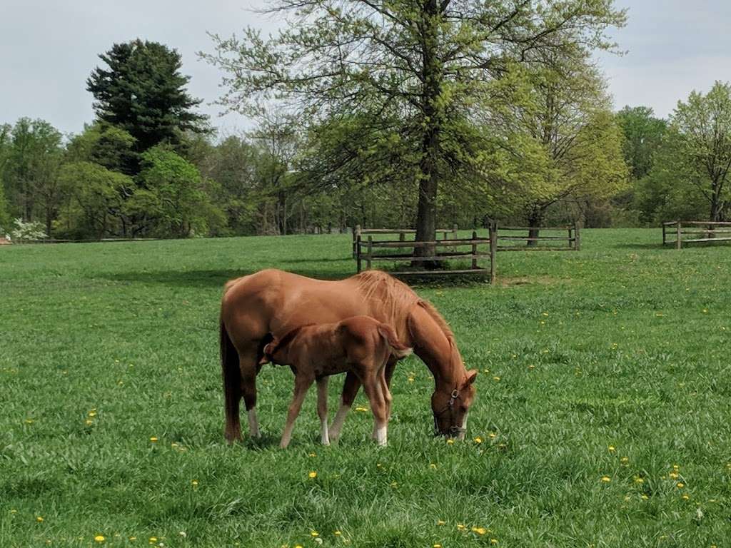 Willow Lake Farm Preserve | W Butler Ave, Ambler, PA 19002, USA