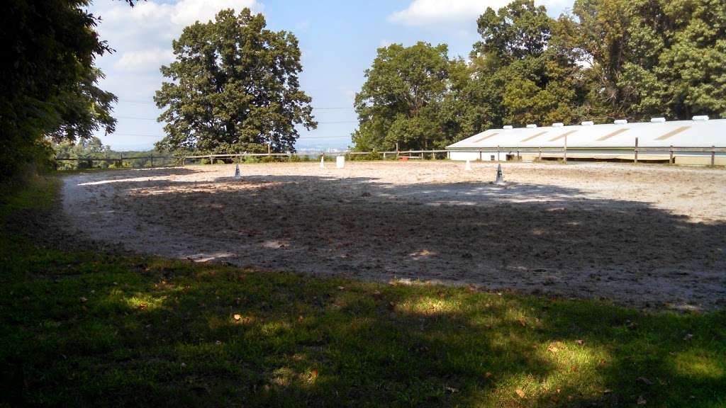 Windswept Stables | 520 Norwood Rd, Columbia, PA 17512, USA | Phone: (717) 684-3975