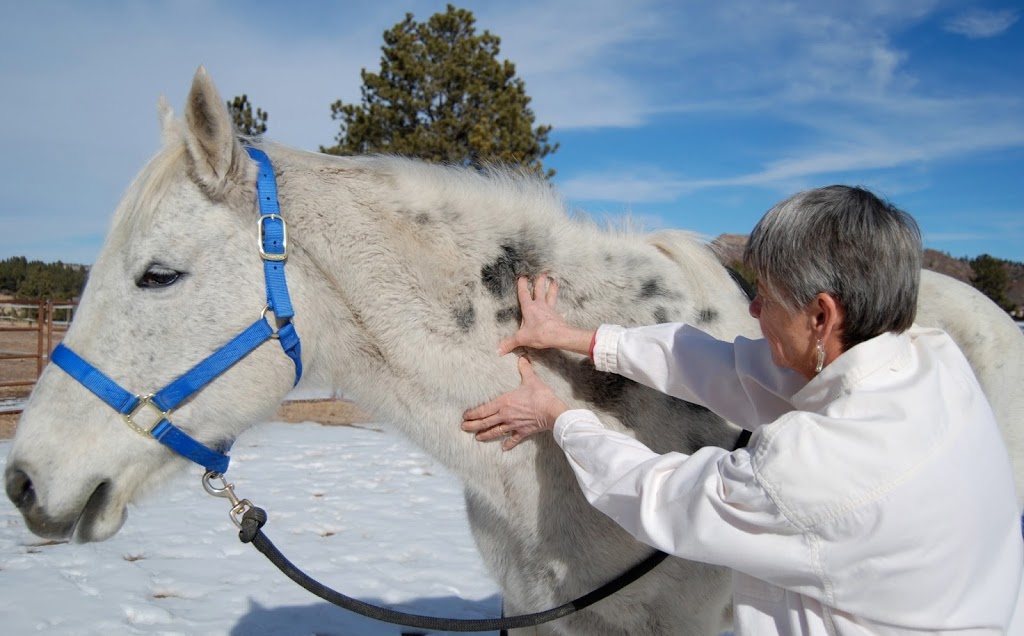 Tallgrass Animal Acupressure Resources & Tallgrass Publishers | 12420 Blue Terrace Way, Castle Pines, CO 80108, USA | Phone: (303) 681-3030