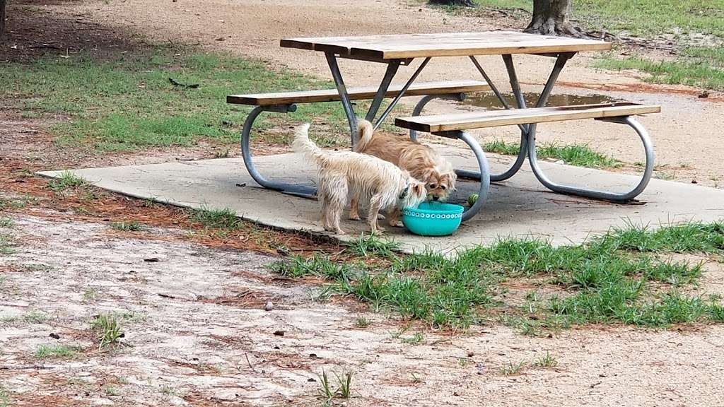 Bibi & Mini-Me Bush Dog Park | 4129 Spring Creek Dr, Spring, TX 77373, USA | Phone: (281) 353-8100