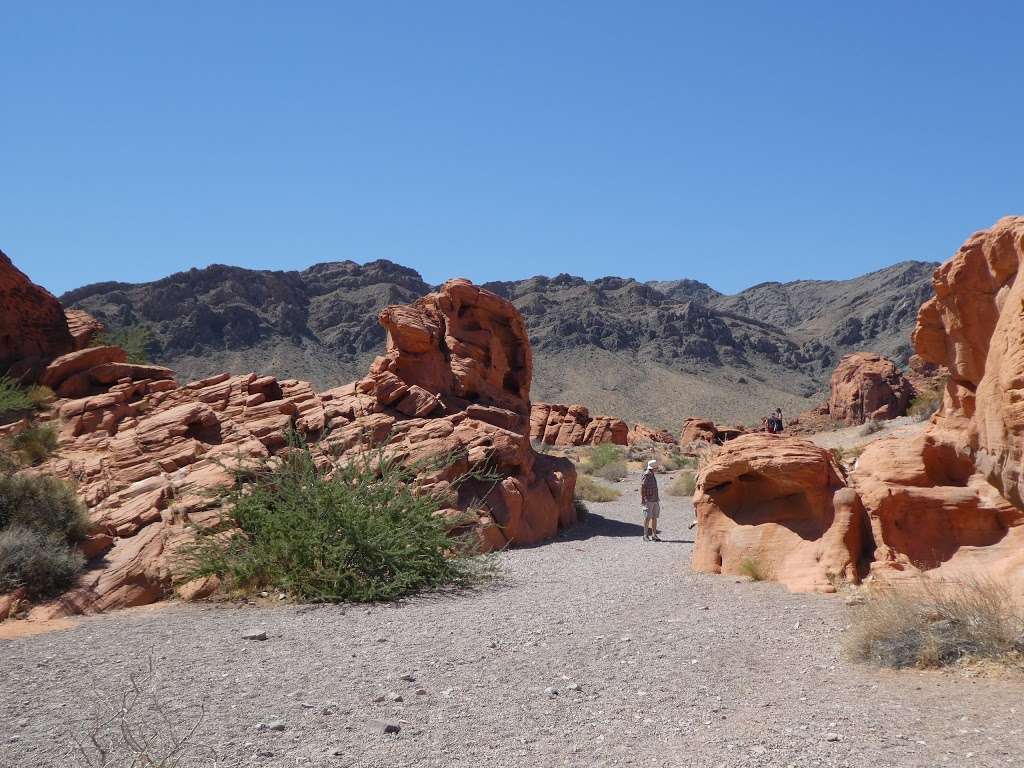 Beehives | Valley of Fire Hwy, Overton, NV 89040, USA