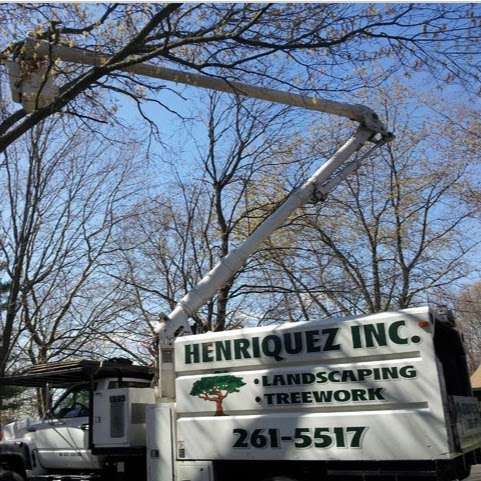 Henriquez Tree Work & Landscaping Inc. | 25 Oswego Dr, Greenlawn, NY 11740, USA | Phone: (631) 767-5129