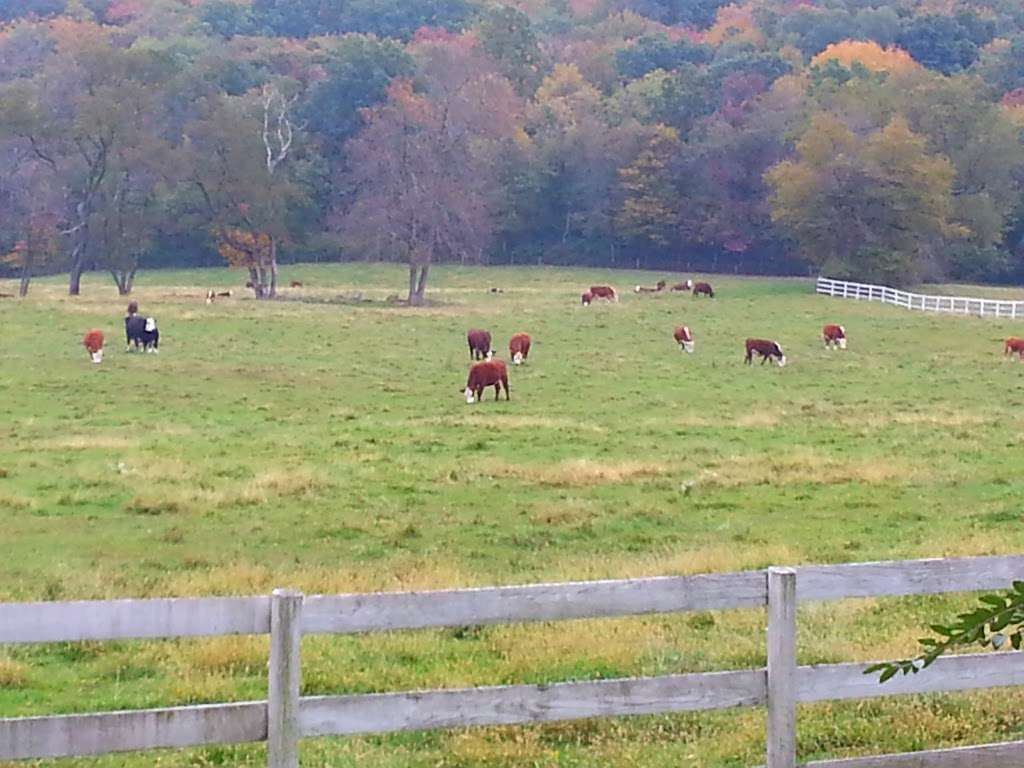 Columbia Trailhead Parking, Highbridge | 73 Main St, High Bridge, NJ 08829, USA