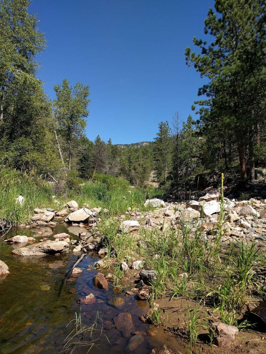 Lion Gulch Trailhead (#949) | N St Vrain Dr, Lyons, CO 80540, USA