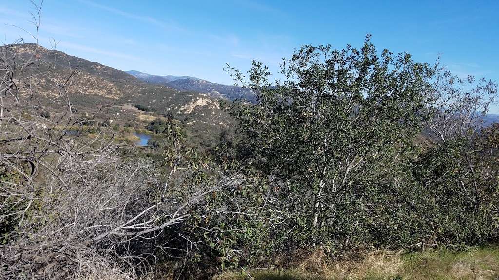 Cougar Pass Trailhead | 27072 Cougar Pass Rd, Escondido, CA 92026, USA