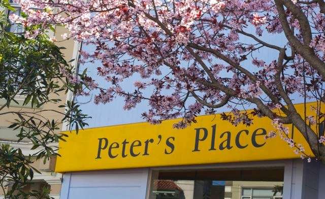 Peters Place Nursery School | 227 Balboa St, San Francisco, CA 94118, USA | Phone: (415) 752-1444