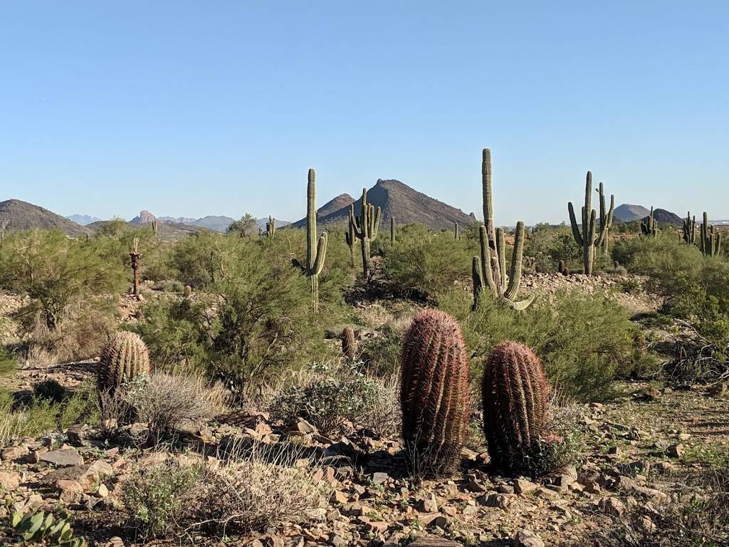 Lost Dog Wash Trailhead | 12601 N 124th St, Scottsdale, AZ 85259, USA