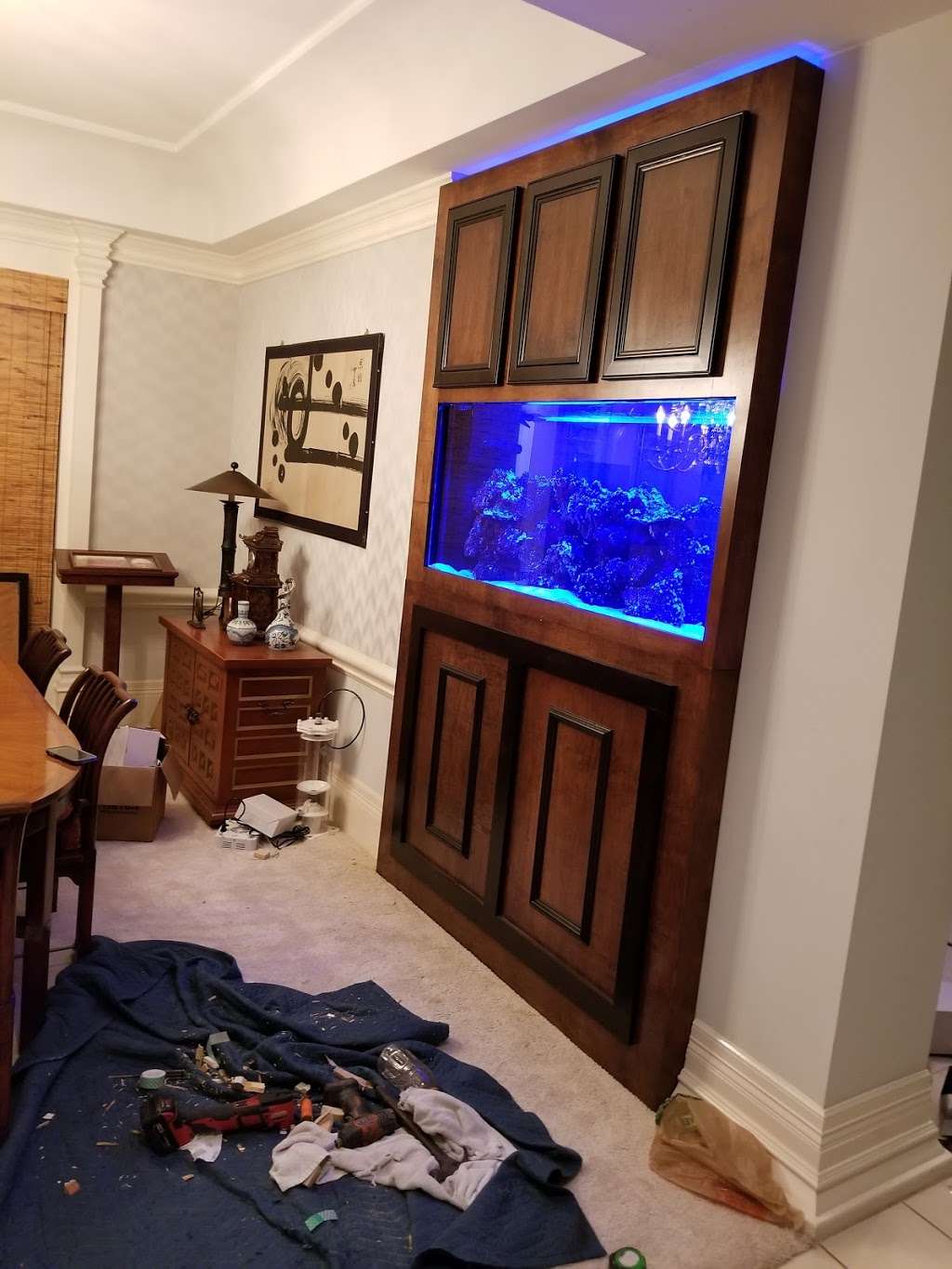 Aquarium Sales and Service Houston - Deep Aquatic | 13225 Farm to Market Rd 529 #205, Houston, TX 77041, USA | Phone: (713) 366-9787