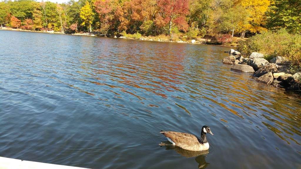 Lake Sebago Boat Launch | Southfields, NY 10975, USA | Phone: (845) 351-2583