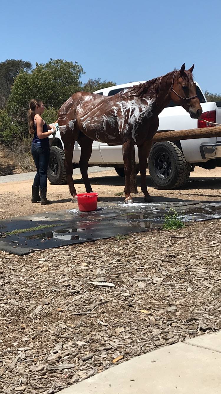 Betty Boop Horse Riding | 16050 Running Deer Trail, Poway, CA 92064, USA | Phone: (760) 916-4931