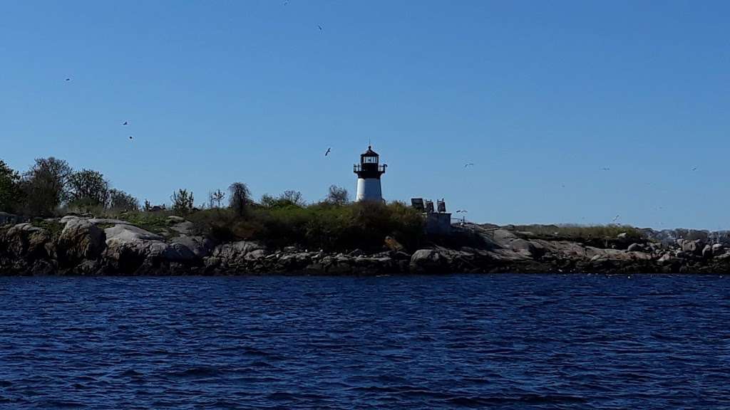 Cape Ann Whale Watch | 415 Main St, Gloucester, MA 01930, USA | Phone: (978) 283-5110