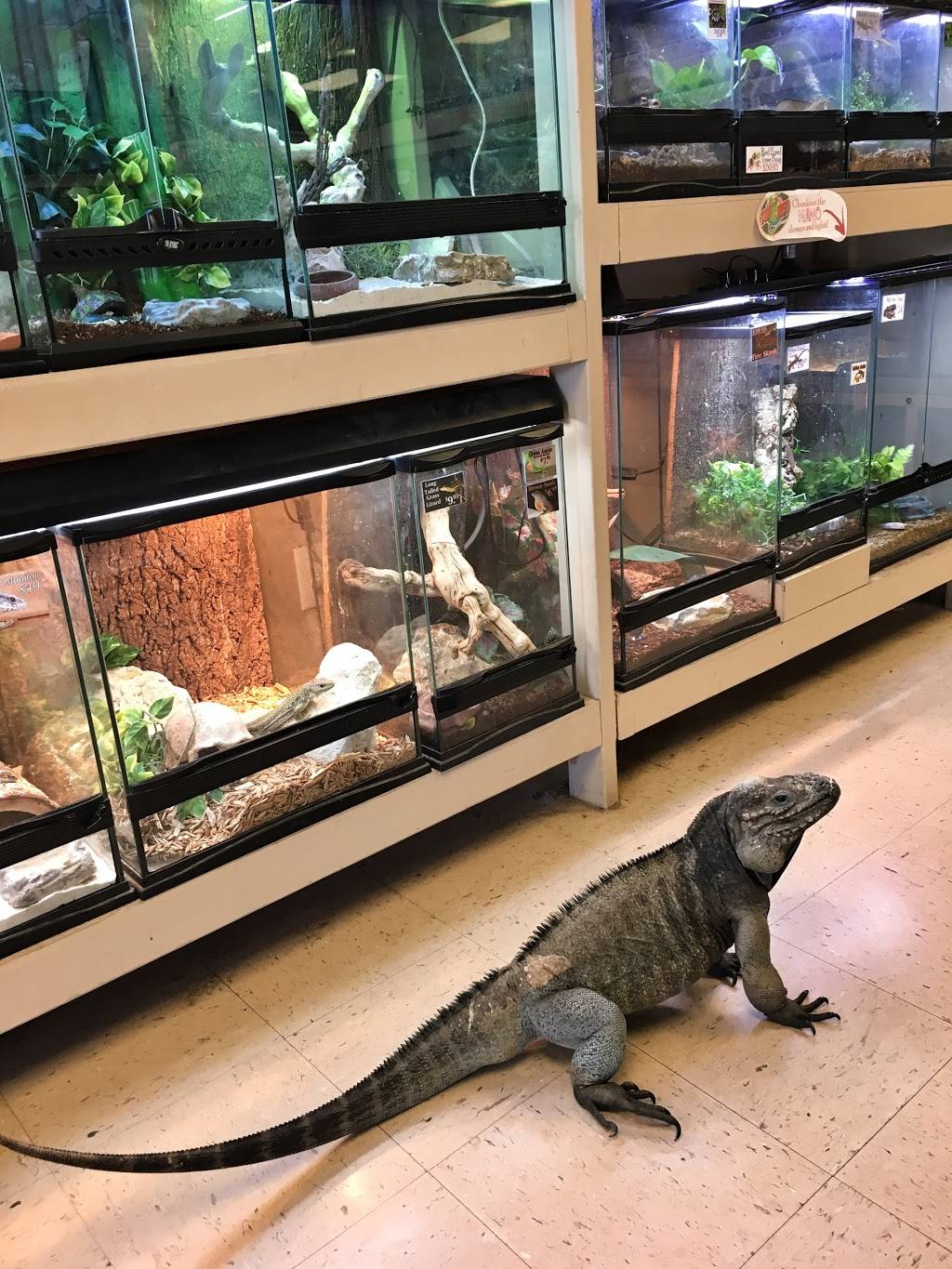 Tails & Scales Pet Shop | 1718 Nelson Dr, Derby, KS 67037, USA | Phone: (316) 788-1100