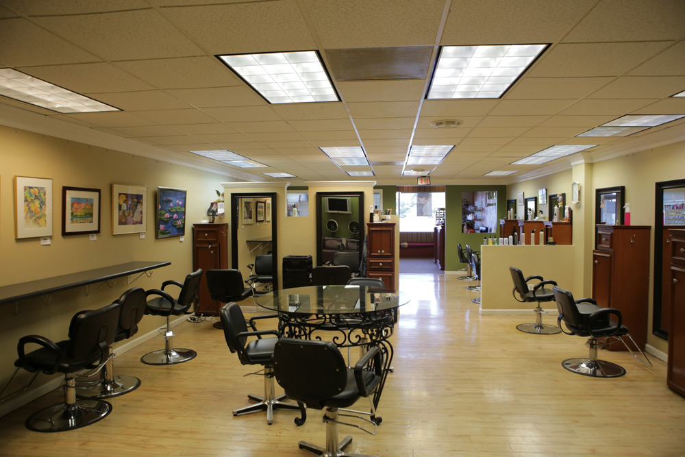 LImage Salon and Spa Fairfax | 3079 Nutley St, Fairfax, VA 22031, USA | Phone: (703) 573-7056