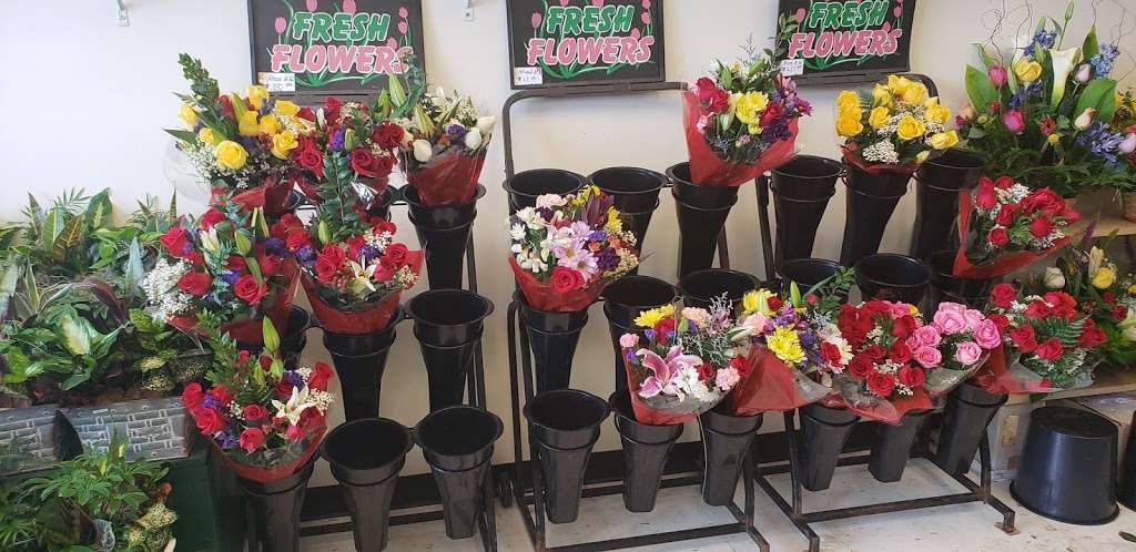 Central Florist in Spring Valley | 175 NY-59 #107, Spring Valley, NY 10977, USA | Phone: (845) 352-4445