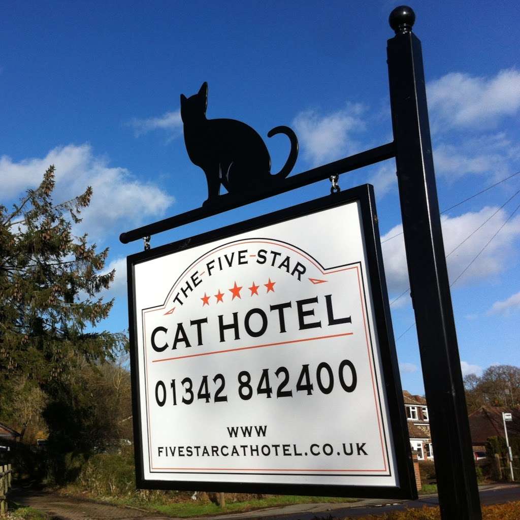 The Five Star Cat Hotel | 208 Smallfield Rd, Horley RH6 9LS, UK | Phone: 01342 842400