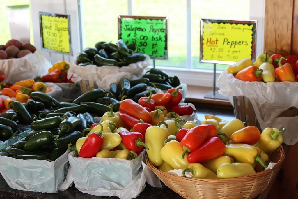 Hammond School Farm Market | 9496, 661 Ranck Rd, New Holland, PA 17557, USA | Phone: (717) 354-8114