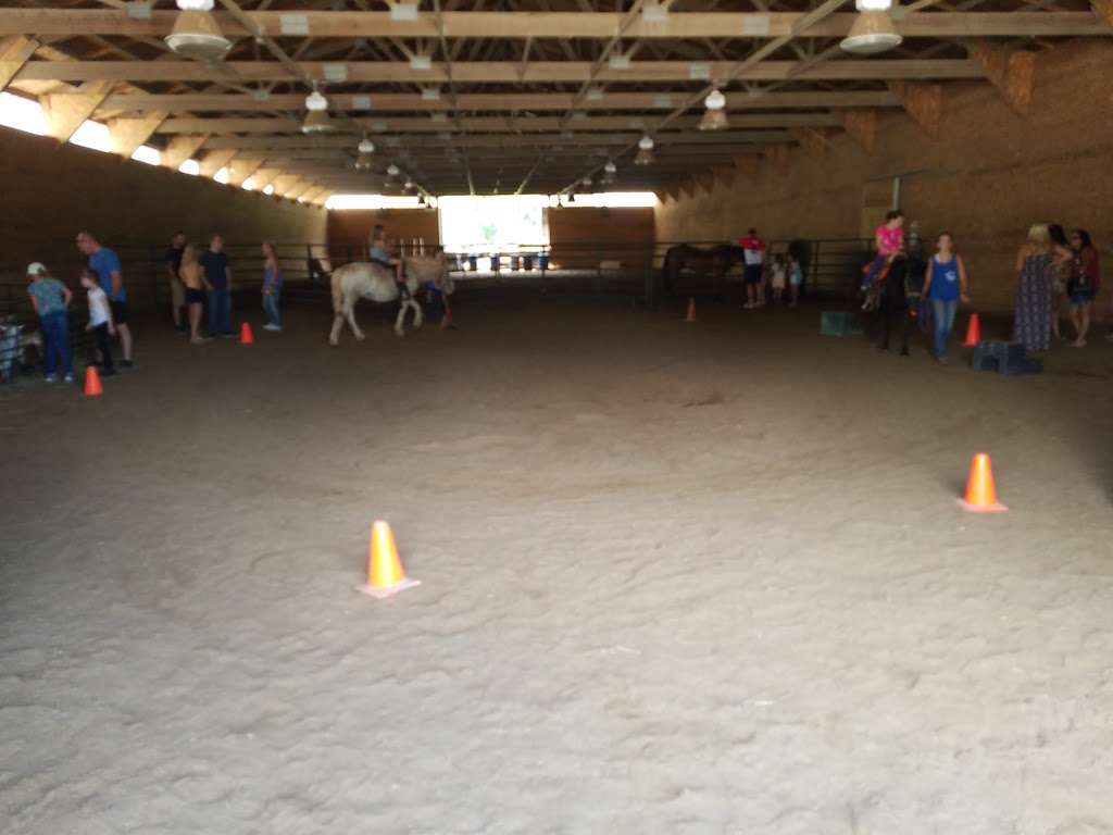 Sarahs Pony Rides | 8220 S Kean Ave, Willow Springs, IL 60514, USA | Phone: (630) 802-1316