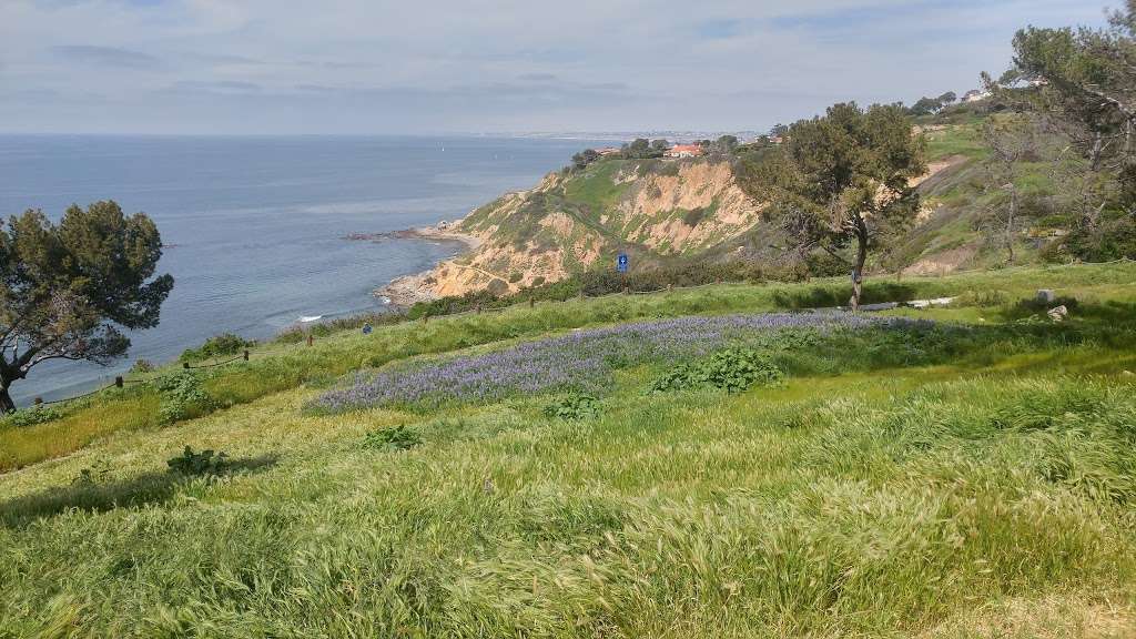 Palos Verdes Estates Shoreline Preserve | Paseo Del Mar, Palos Verdes Estates, CA 90274, USA | Phone: (310) 378-0383