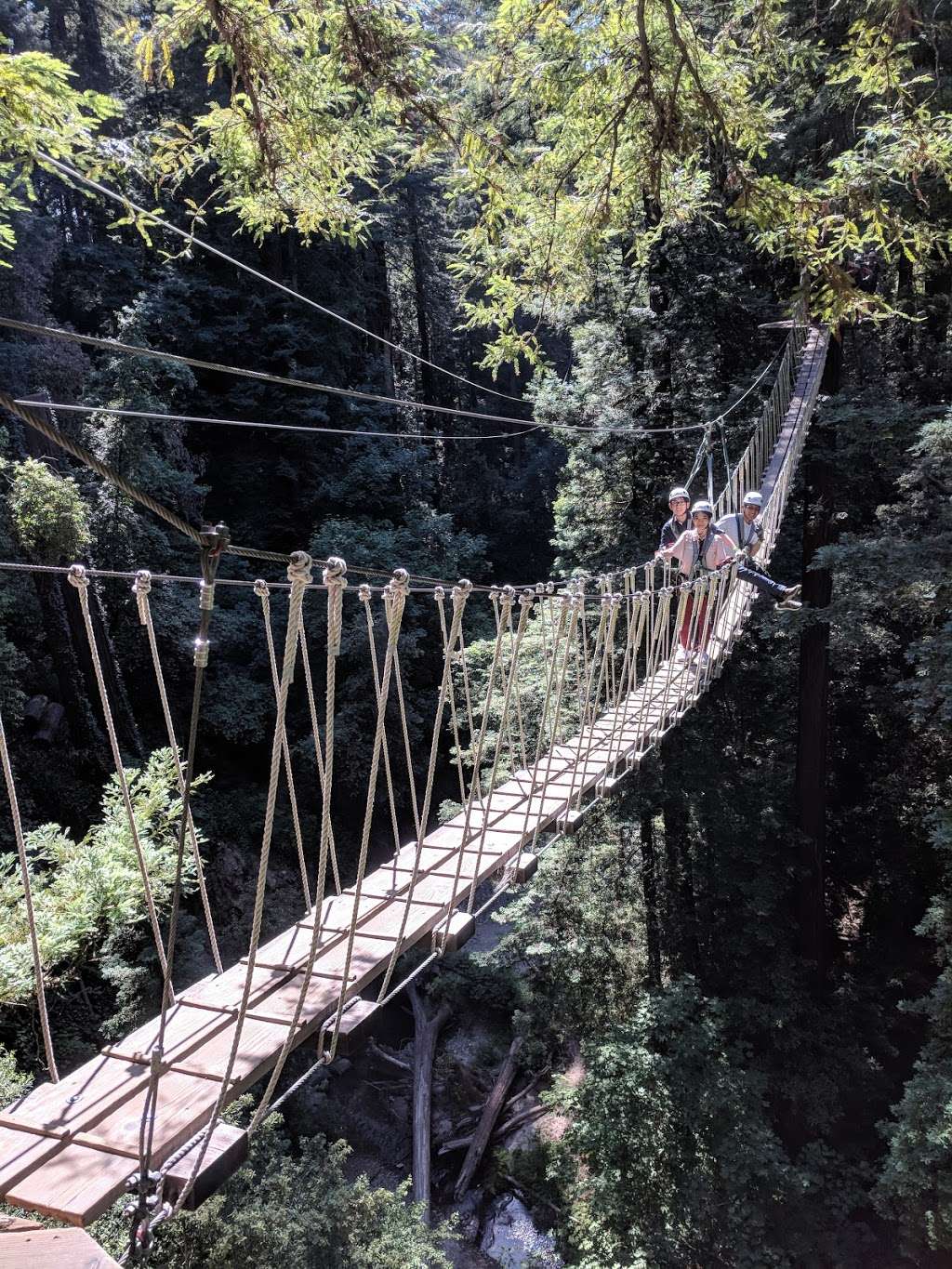 Redwood Canopy Tour | 17 Conference Dr, Felton, CA 95014, USA | Phone: (831) 430-4357