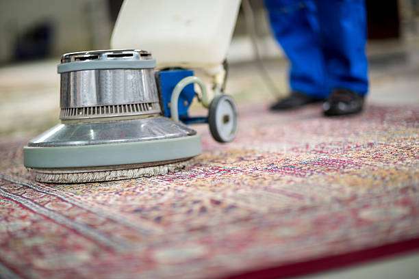 Ideal Carpet Care | 10266 Foothill Blvd, Lake View Terrace, CA 91342, USA | Phone: (818) 975-3424