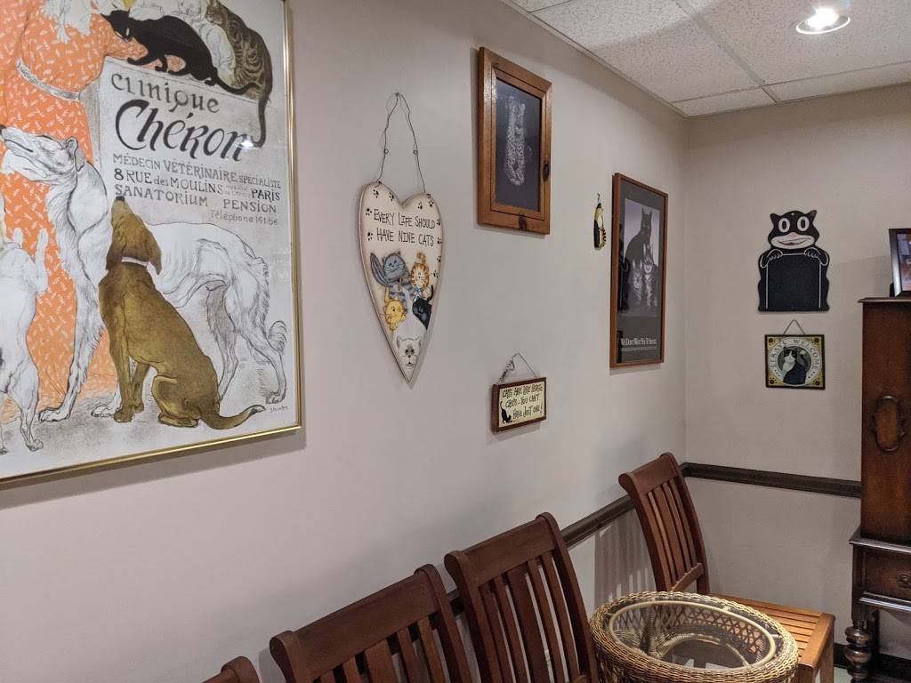 St Louis Cat Clinic | 3460 Hampton Ave #101, St. Louis, MO 63139, USA | Phone: (314) 832-2287