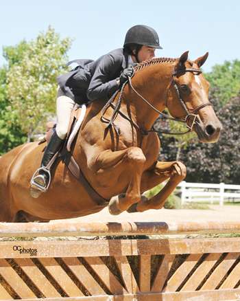 Glen Grove Equestrian Center | 9453 Harms Rd, Morton Grove, IL 60053, USA | Phone: (847) 966-8032