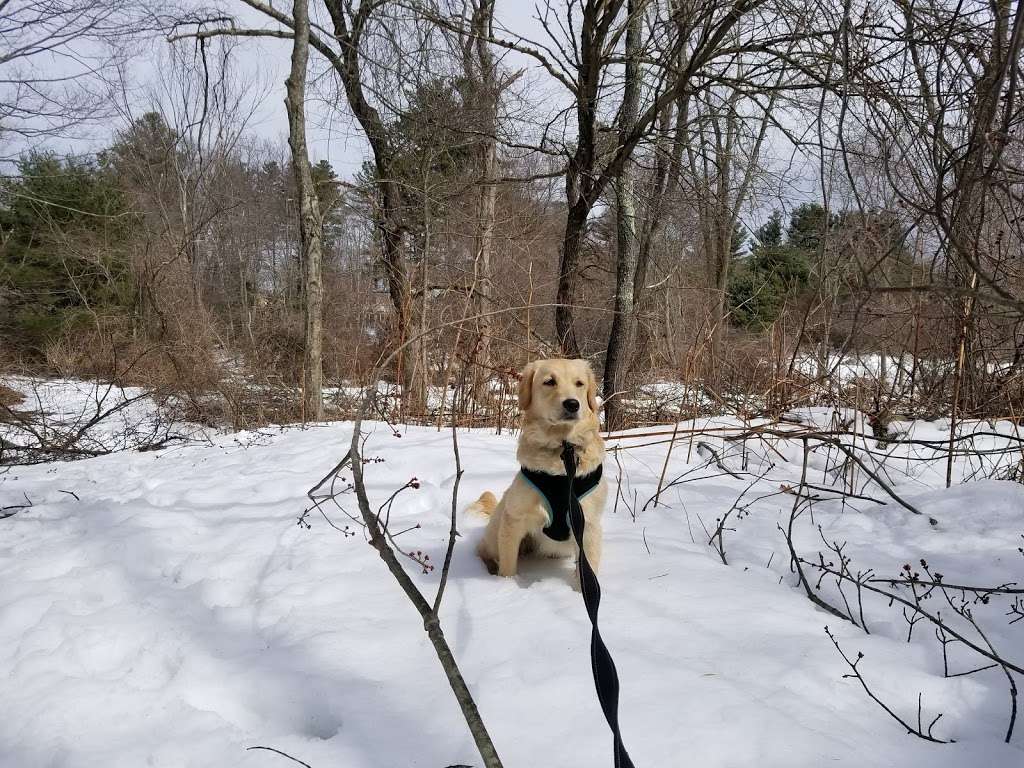 Red Wing Farm Reservation | 17 Maple Rd, Chelmsford, MA 01824, USA