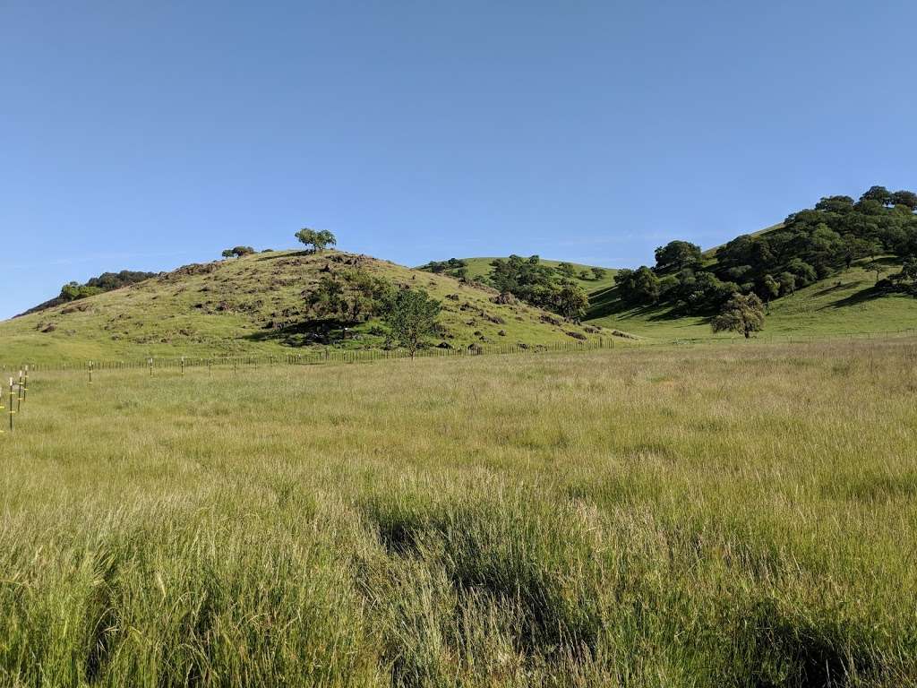 Coyote Valley Open Space Preserve | 550 Palm Ave, Morgan Hill, CA 95037, USA | Phone: (408) 224-7476