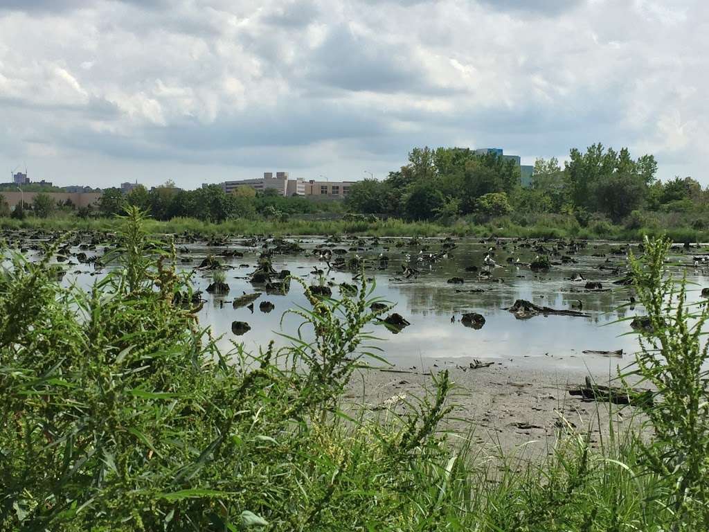 Mill Creek Marsh Trail | Mill Creek Marsh Trail, Secaucus, NJ 07094, USA