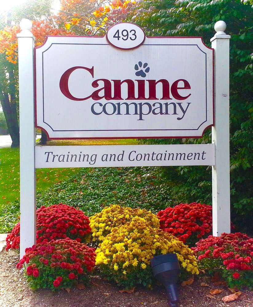 Canine Company | 493 Danbury Rd, Wilton, CT 06897, USA | Phone: (800) 818-3647