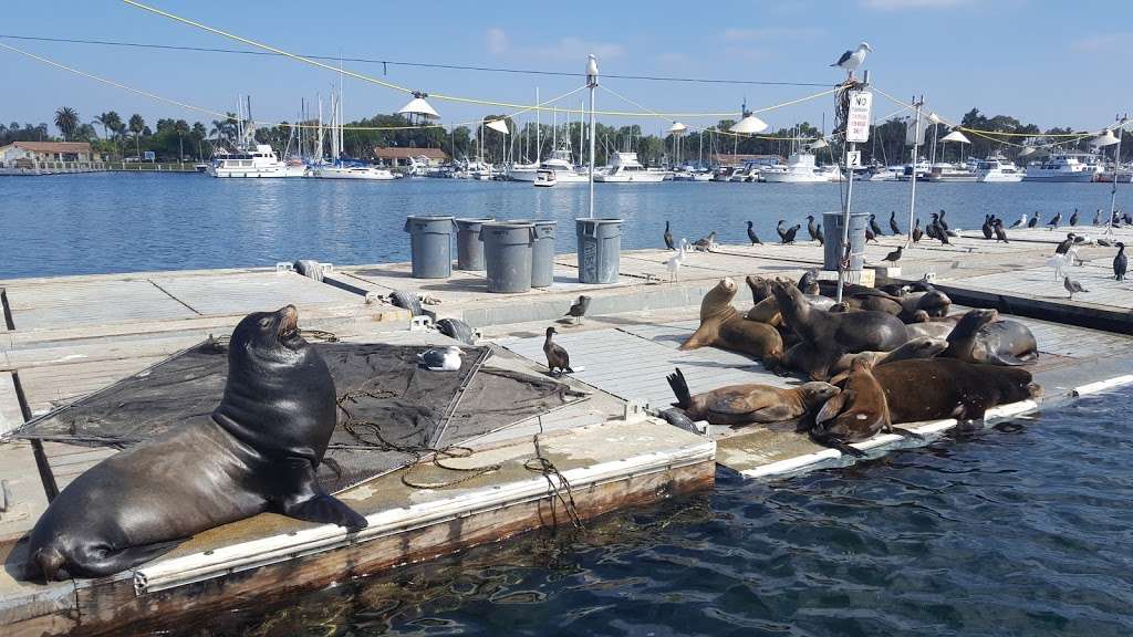 San Diego SEAL Tours | 500 Kettner Blvd, San Diego, CA 92101, USA | Phone: (619) 298-8687