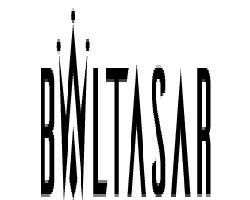 Baltasar Tattoo Studio Madrid | Calle de Santa Casilda, 1, 28005 Madrid, Spain | Phone: +34 918 75 52 67