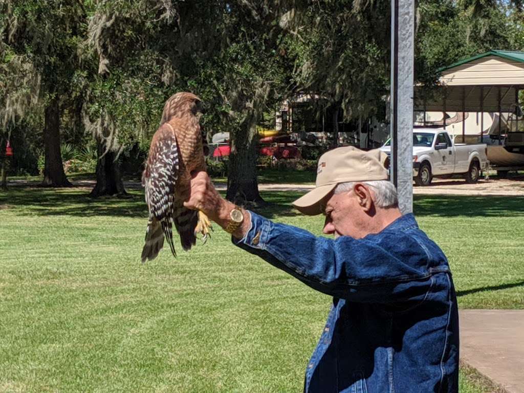 Gulf Coast Bird Observatory | 299 West, TX-332, Lake Jackson, TX 77566, USA | Phone: (979) 480-0999