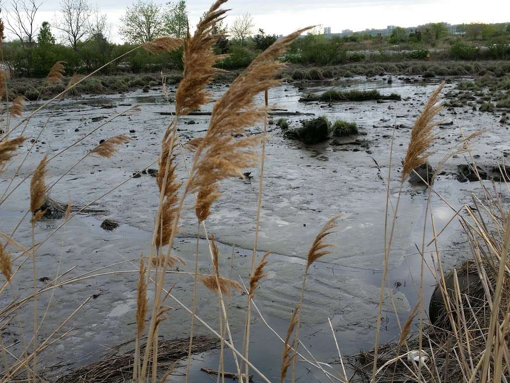 Mill Creek Marsh Trail | Mill Creek Marsh Trail, Secaucus, NJ 07094, USA