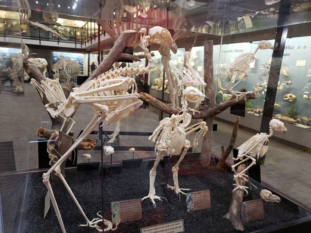 Museum of Osteology | 10301 S Sunnylane Rd, Oklahoma City, OK 73160, USA | Phone: (405) 814-0006