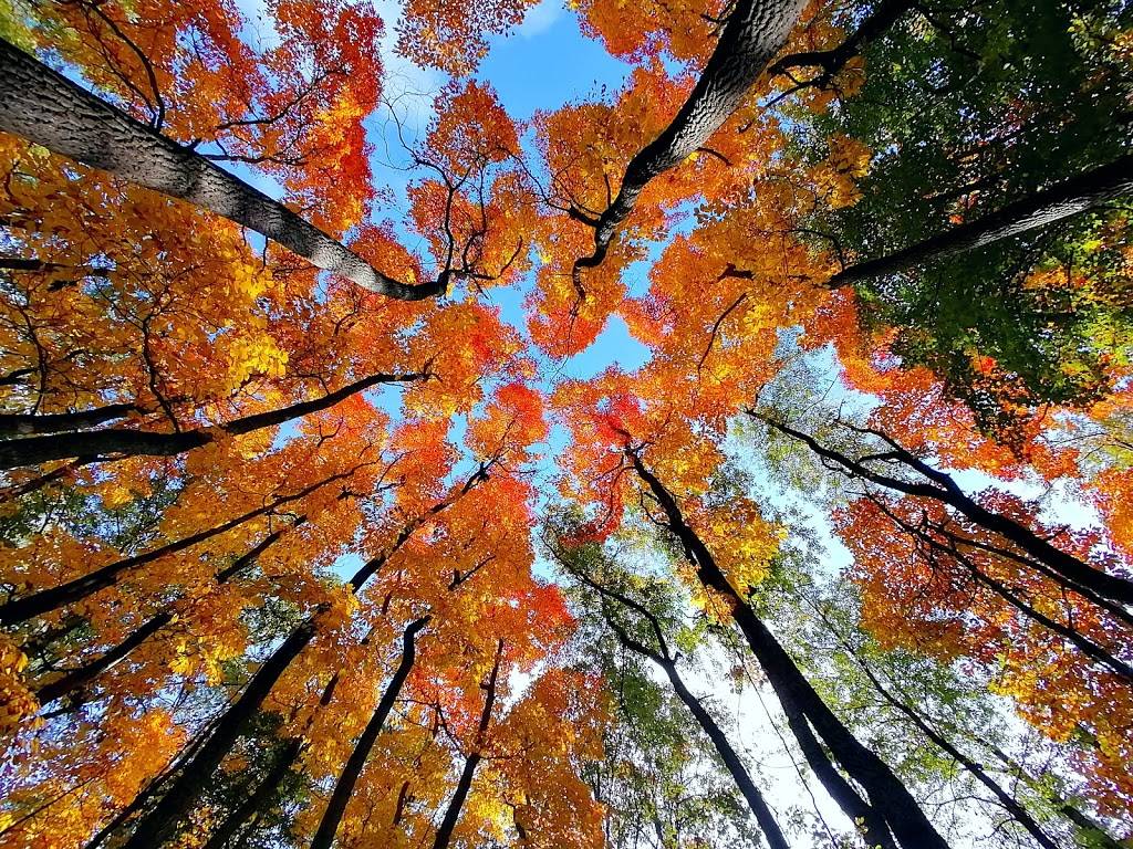 Tallgrass Prairie Heritage Park | Matchette Rd, Windsor, ON N9C, Canada | Phone: (877) 746-4311