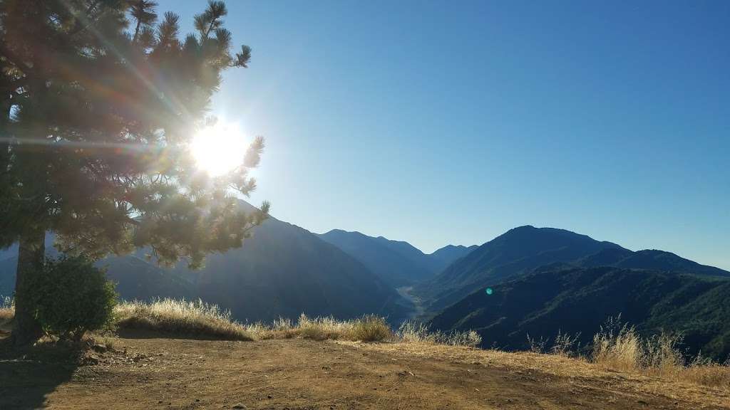 Morton Peak Fire Lookout | 34800 Morton Ridge Trail, Mentone, CA 92359, USA | Phone: (909) 382-2882