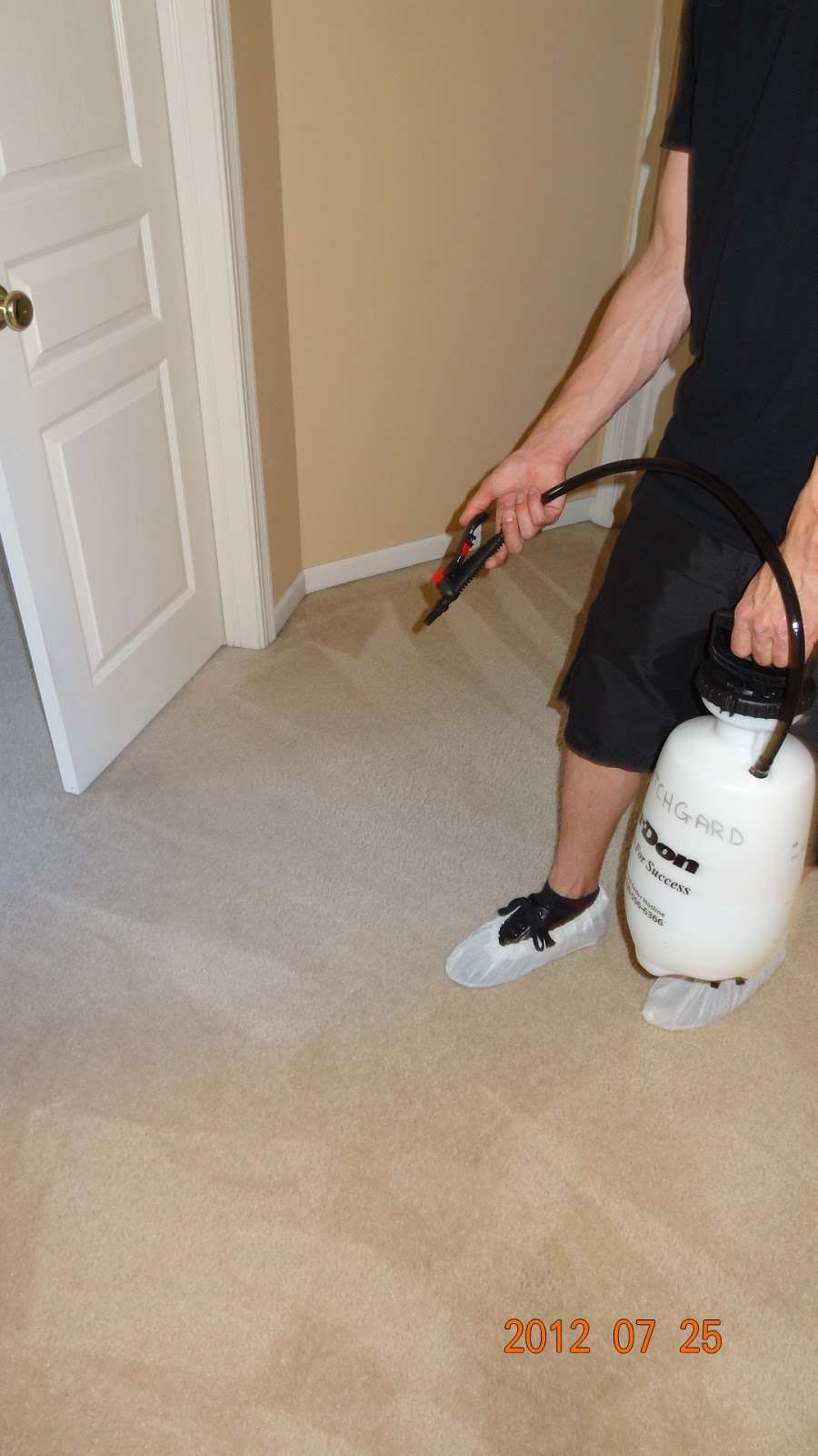 EcoClean Carpet Cleaning | 424 Fort Hill Dr #113, Naperville, IL 60540, USA | Phone: (630) 945-4181