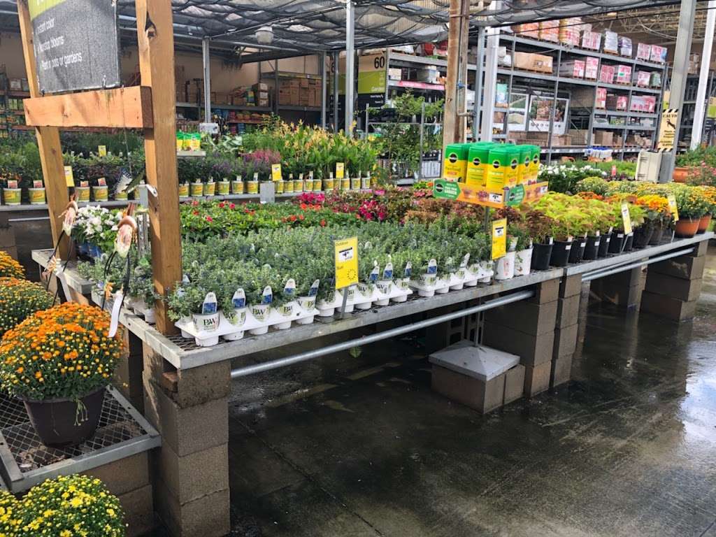 Garden Center at The Home Depot | 1514 Broadway St, Pearland, TX 77581, USA | Phone: (281) 993-1111