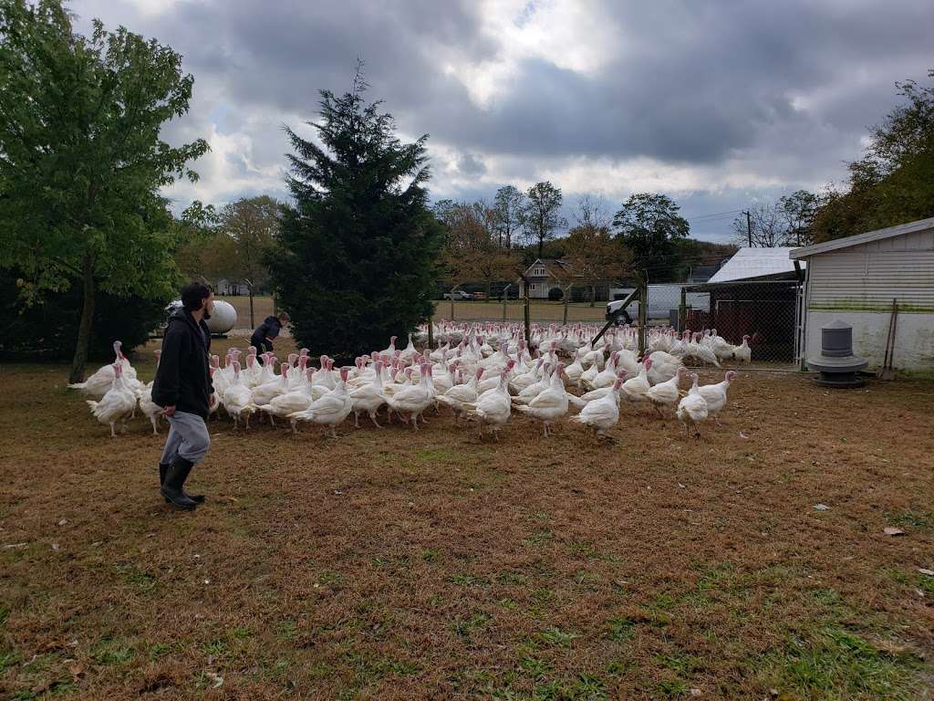 Hincks Turkey Farm | 3930 Belmar Blvd, Neptune City, NJ 07753, USA | Phone: (732) 681-0508