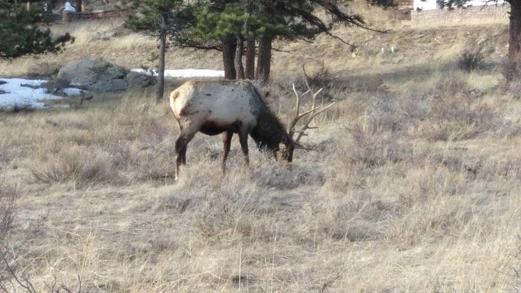 Rocky Mountain Title | 455 E Wonder View Ave # 2B, Estes Park, CO 80517, USA | Phone: (970) 577-1511