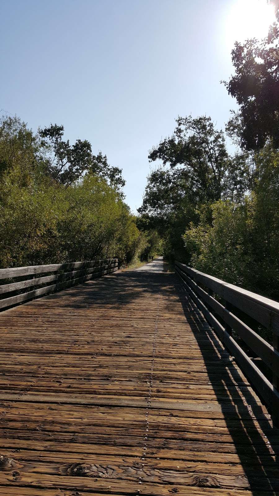 Laguna Wetlands Preserve | Sebastopol, CA 95472, USA | Phone: (707) 823-6167