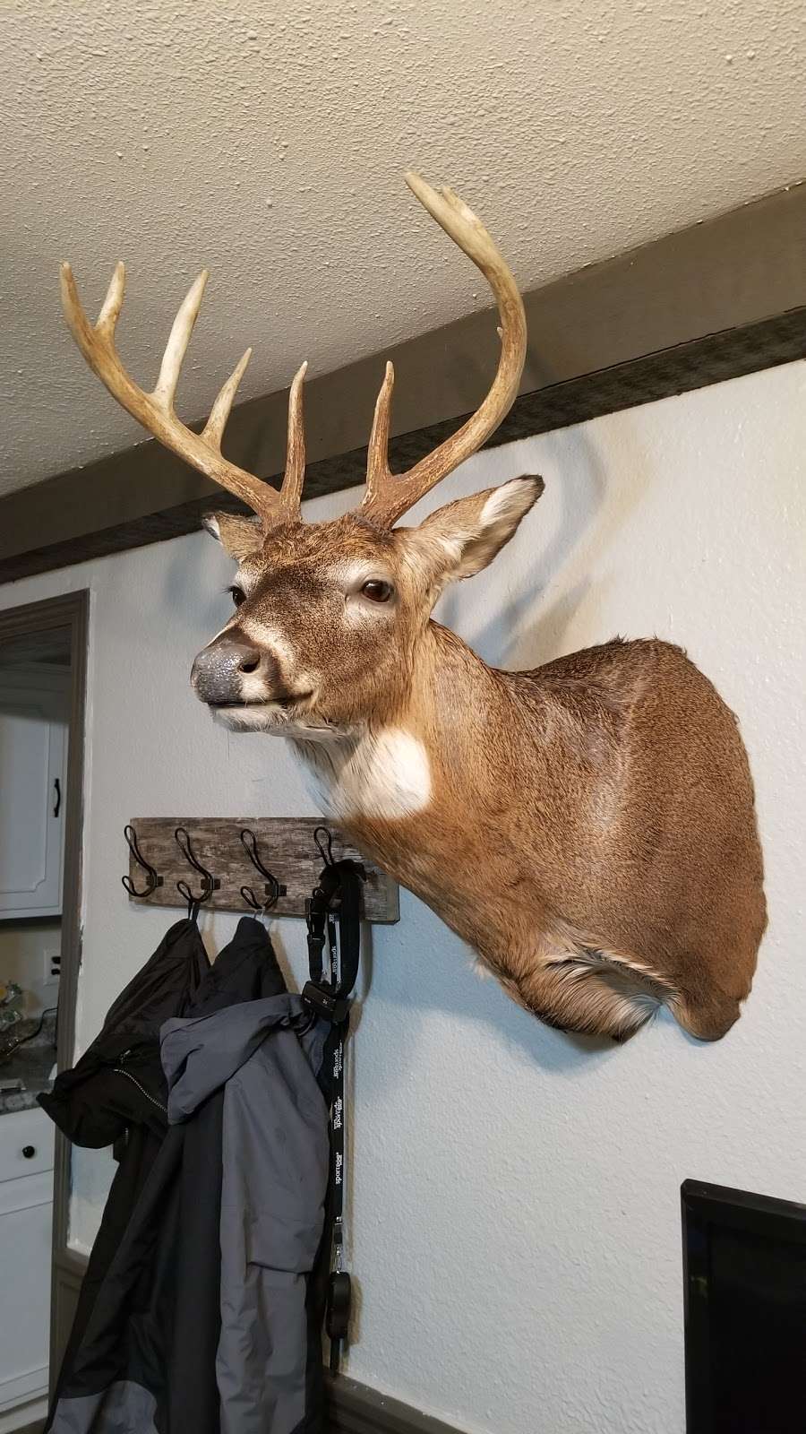 tomlinson taxidermy | W346S3022 Holland Ct, Oconomowoc, WI 53066, USA | Phone: (262) 470-2100